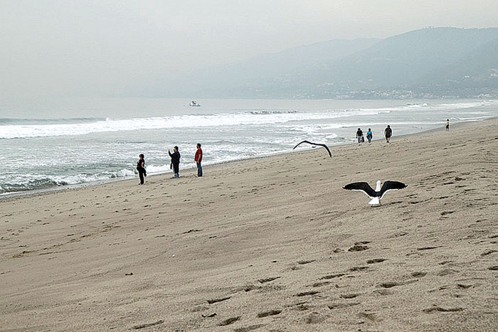 Pollution Report: Most SoCal Beaches Improving