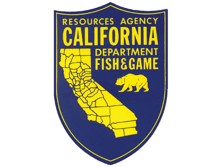 Name Change Could Be in Store for DFG