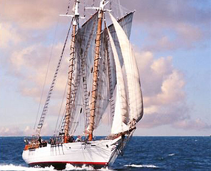 Two Injured When Tall Ship Cannon Fires