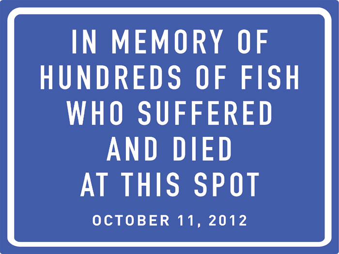 Fish Die on Way to Market; PETA Wants Memorial