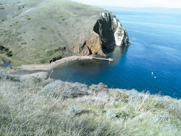 Missing Camper Found Dead on Santa Cruz Island