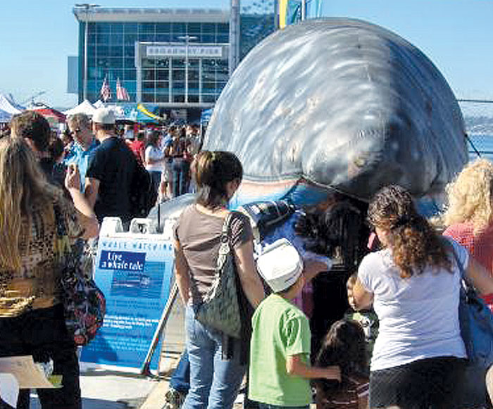 SD Big Bay Whale Days Festival Begins Jan. 26