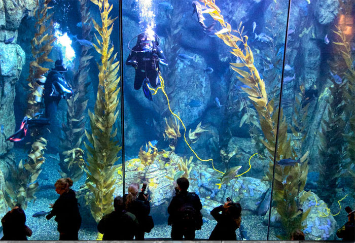 Free Aquarium of the Pacific Tickets at the Show