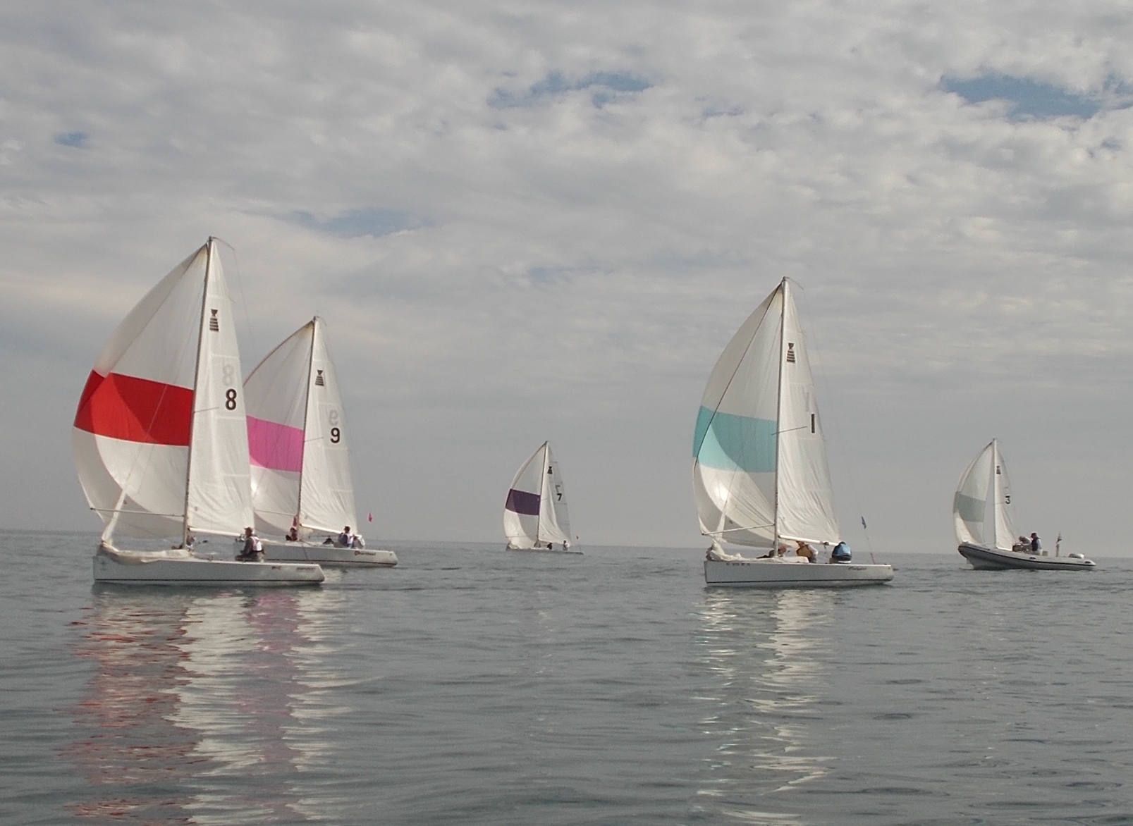 Newport Harbor YC Prevails at Team Race