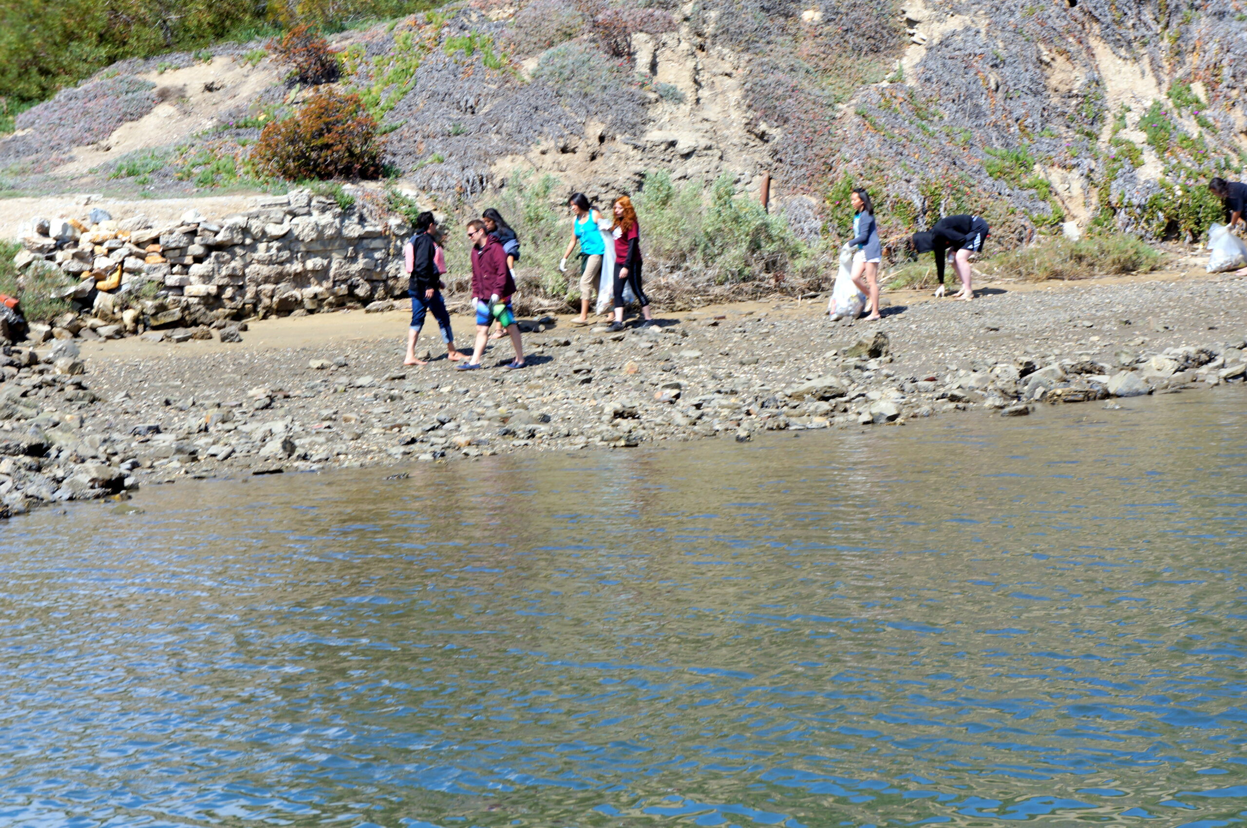 Help Your Harbor assists in keeping waterways clean