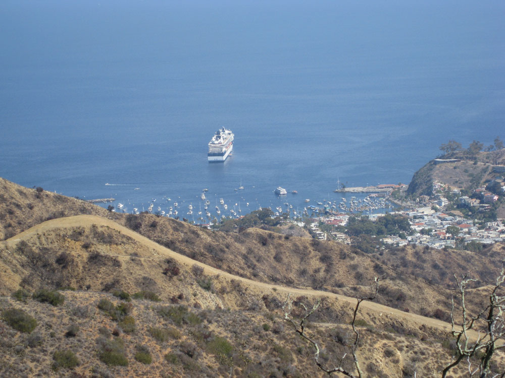 Catalina Eco-Marathon set for Nov. 8