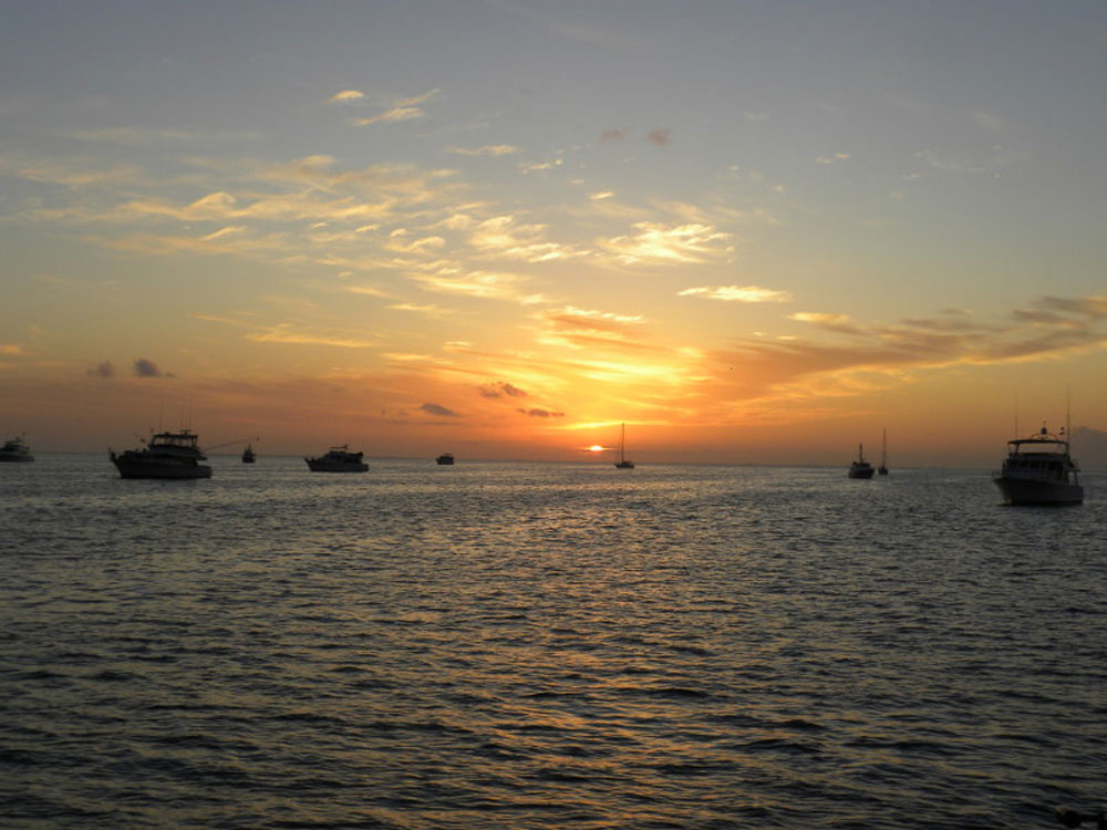 SDYC hosts CUBAR kickoff dinner, May 30