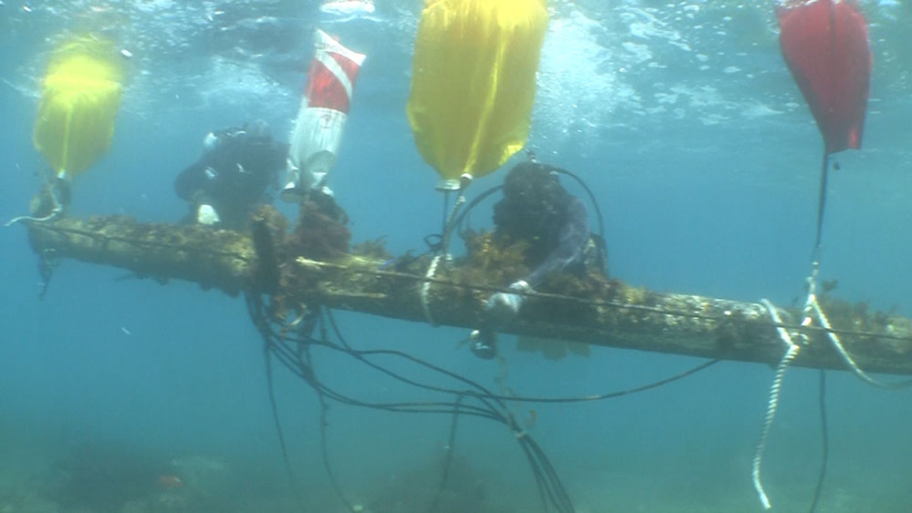 Ocean Defenders Alliance eradicates 48-foot mast