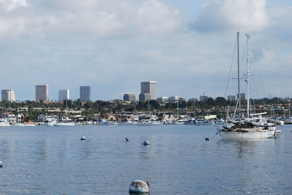 TMDL restrictions for Newport Bay still a work in progress