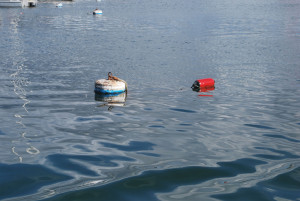 Newport approves cheaper rate for mooring holders