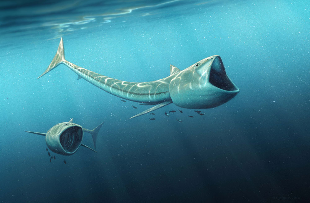 Archaeologists unearth ‘big-mouthed’ fish from Cretaceous Period