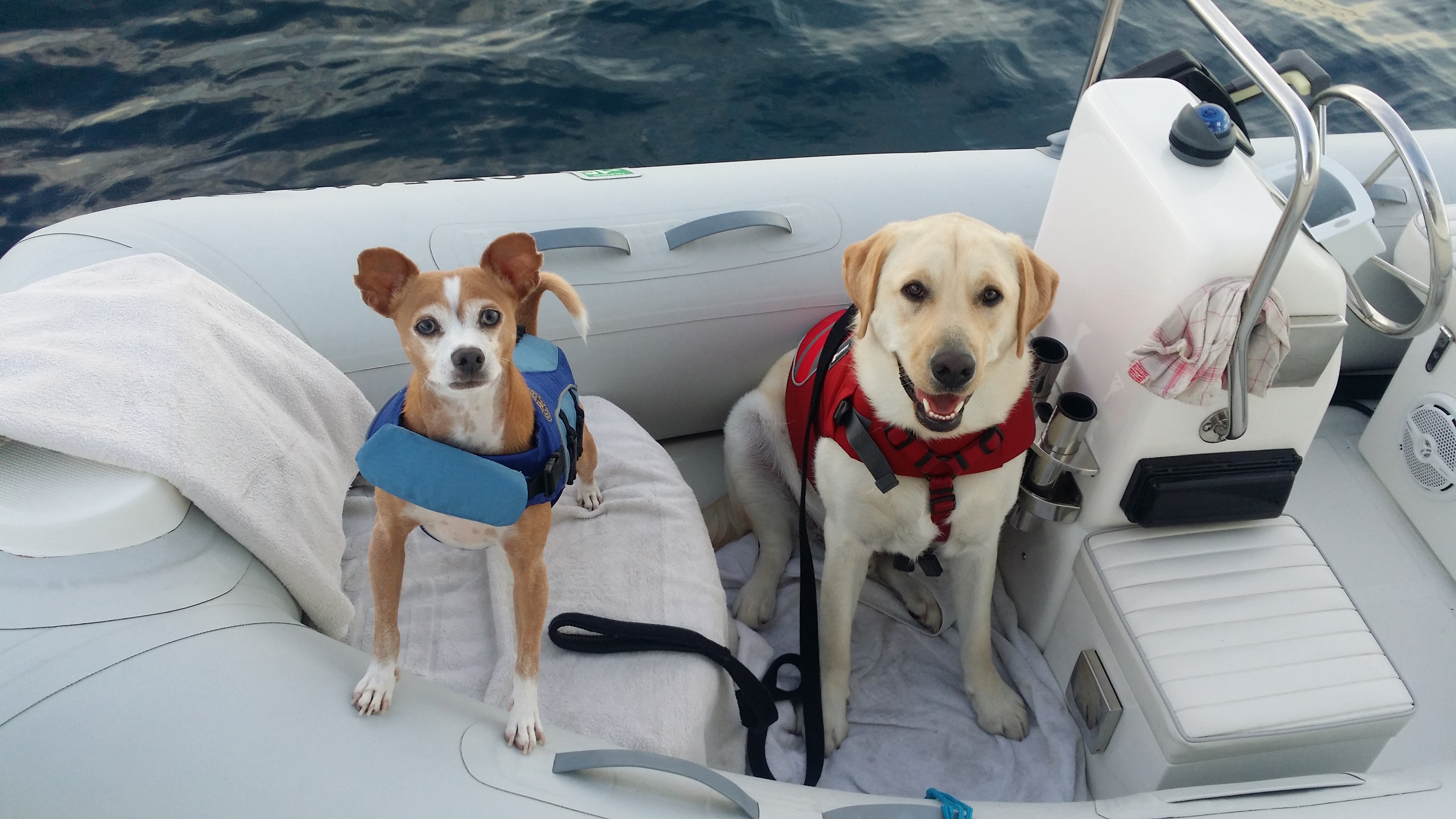 Rambo and Cooper Partners in Crime