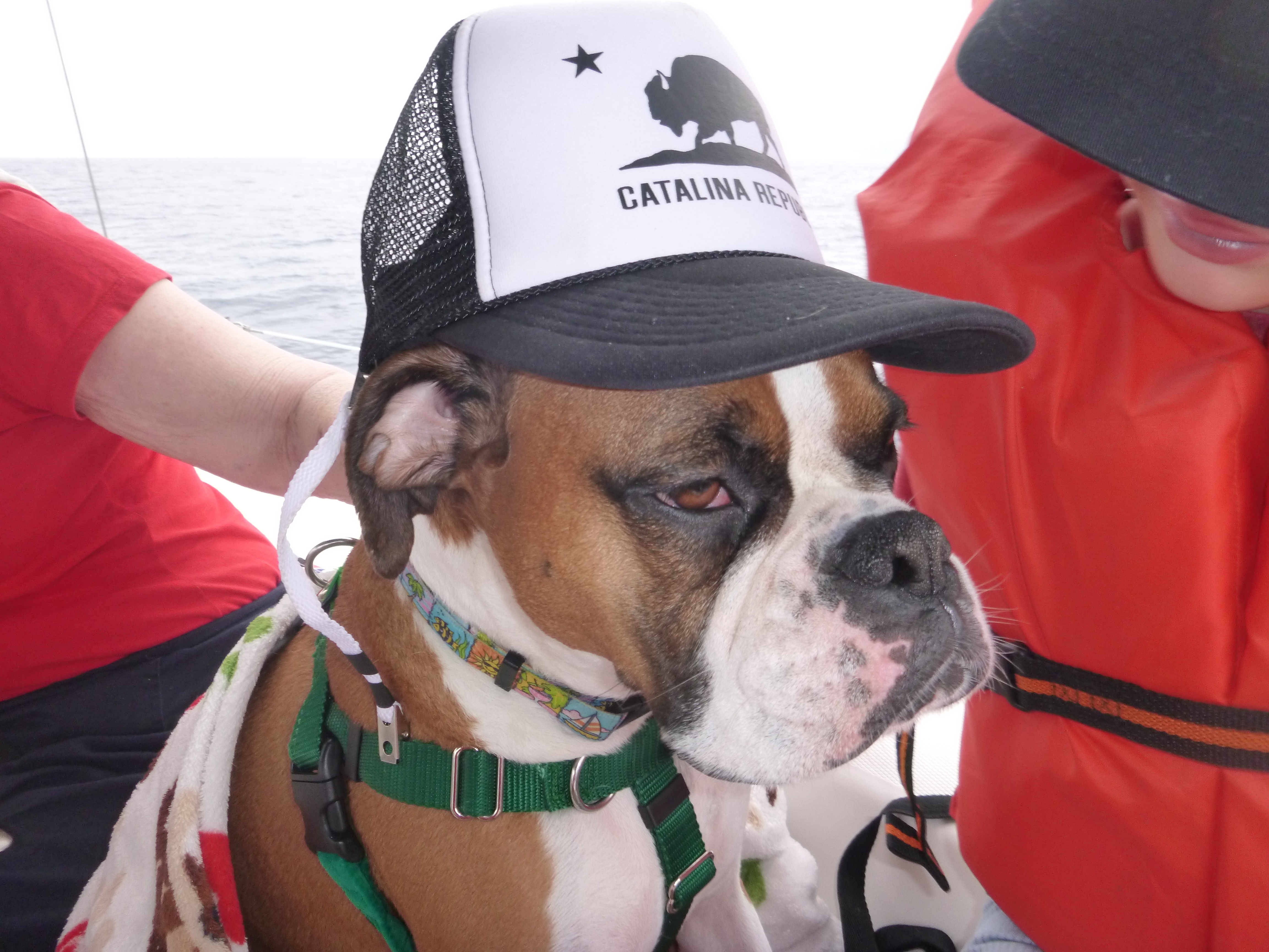 Gretal Isthmus Bound