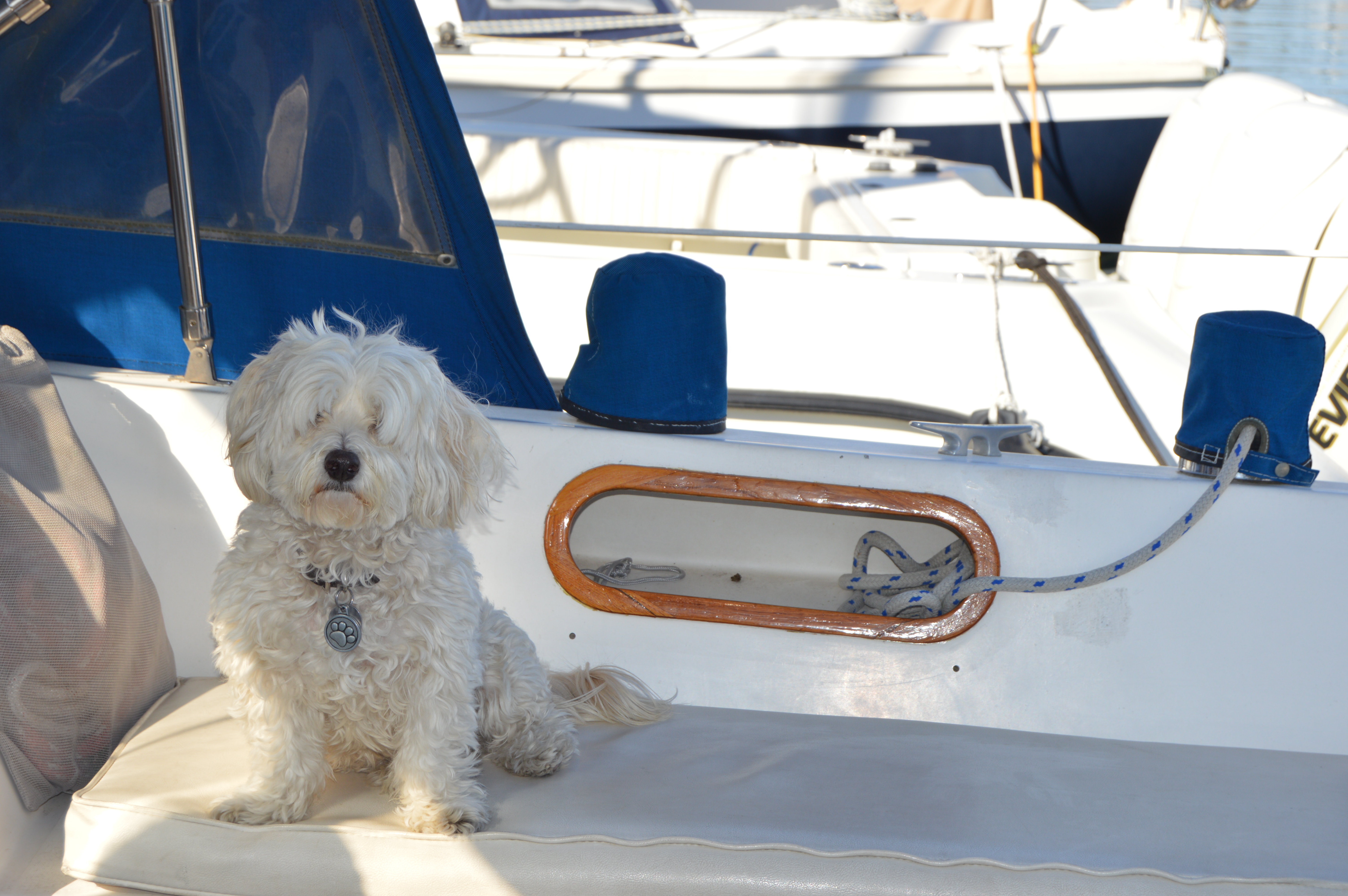 Ricky Anchors Aweigh