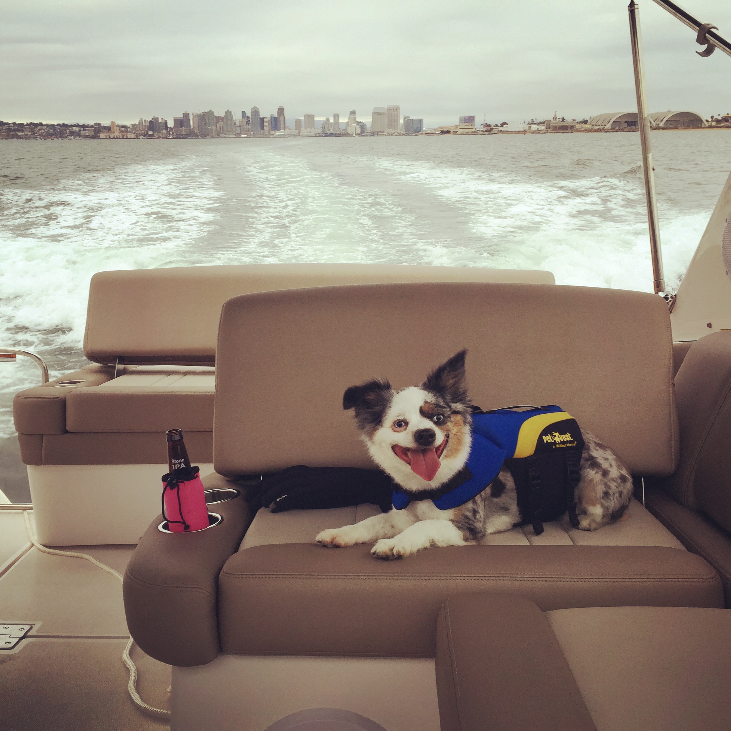 Stella Blue Serenity