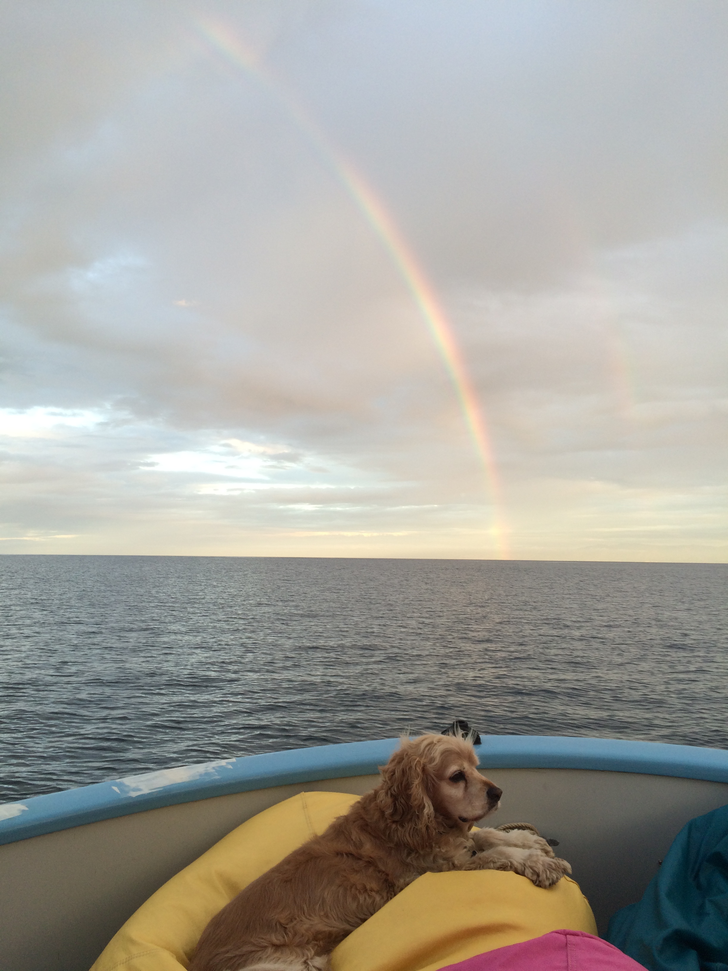 Bosun Somewhere Under the Rainbow