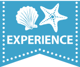 Experience
