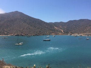 Parimal M. Rohit photo