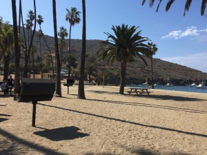 Parimal M. Rohit phto