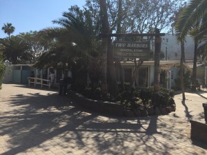 Parimal M. Rohit photo