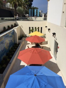 Parimal M. Rohit photo