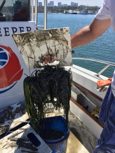 Parimal M. Rohit photo