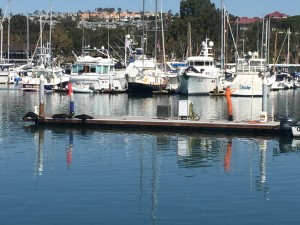 Dana Point Harbor Air Dancers
