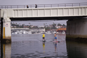 2 SUP Uses Newport - Nina K Jussila photo
