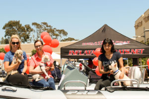 Inflatable Boat Specialists