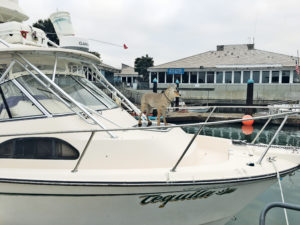 Coyote on a boat in Dana Point