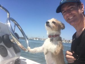 jack russell, corgi, terrier mix dog aboard boat