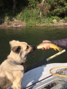 Kiss Your Katch 10.20