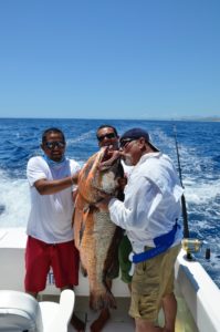 Kiss Your Katch 6.02