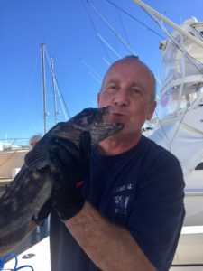 Kiss Your Katch 3.24