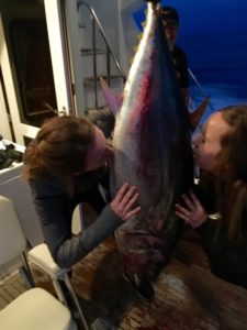 Kiss Your Katch 3.10