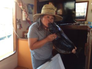 Kiss Your Katch 1.27