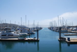 Mexico Ports and COVID-19