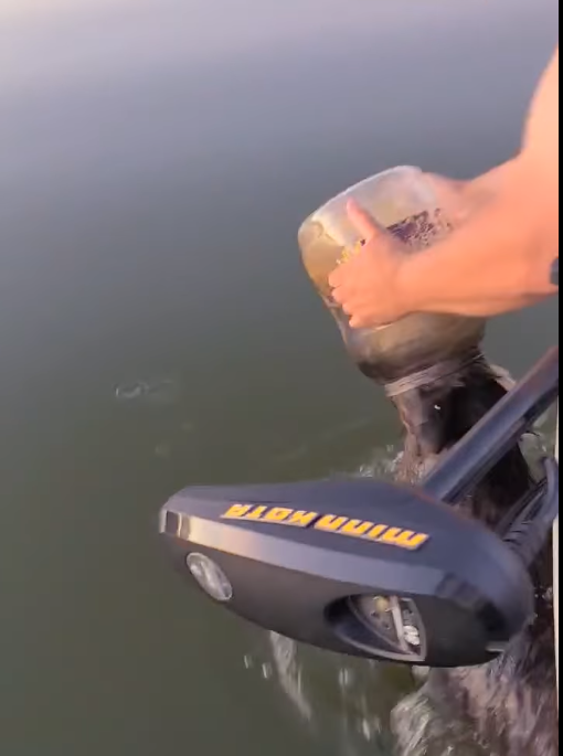 Bear rescue