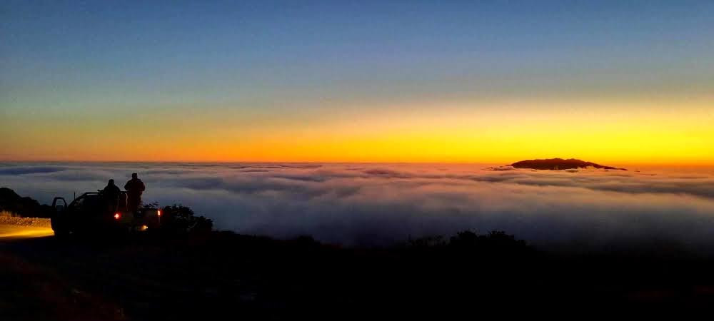 Catalina Island Conservancy Deer Survey