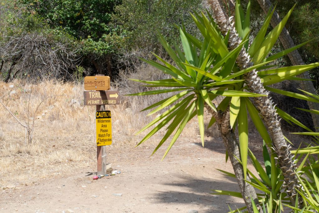Trans Catalina Trail 